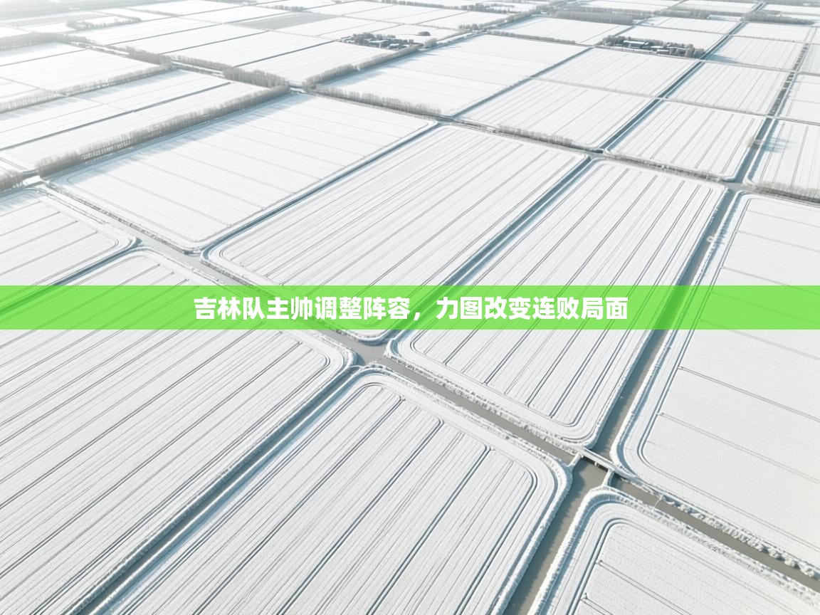 开云体育在线玩-吉林队主帅调整阵容，力图改变连败局面  第4张