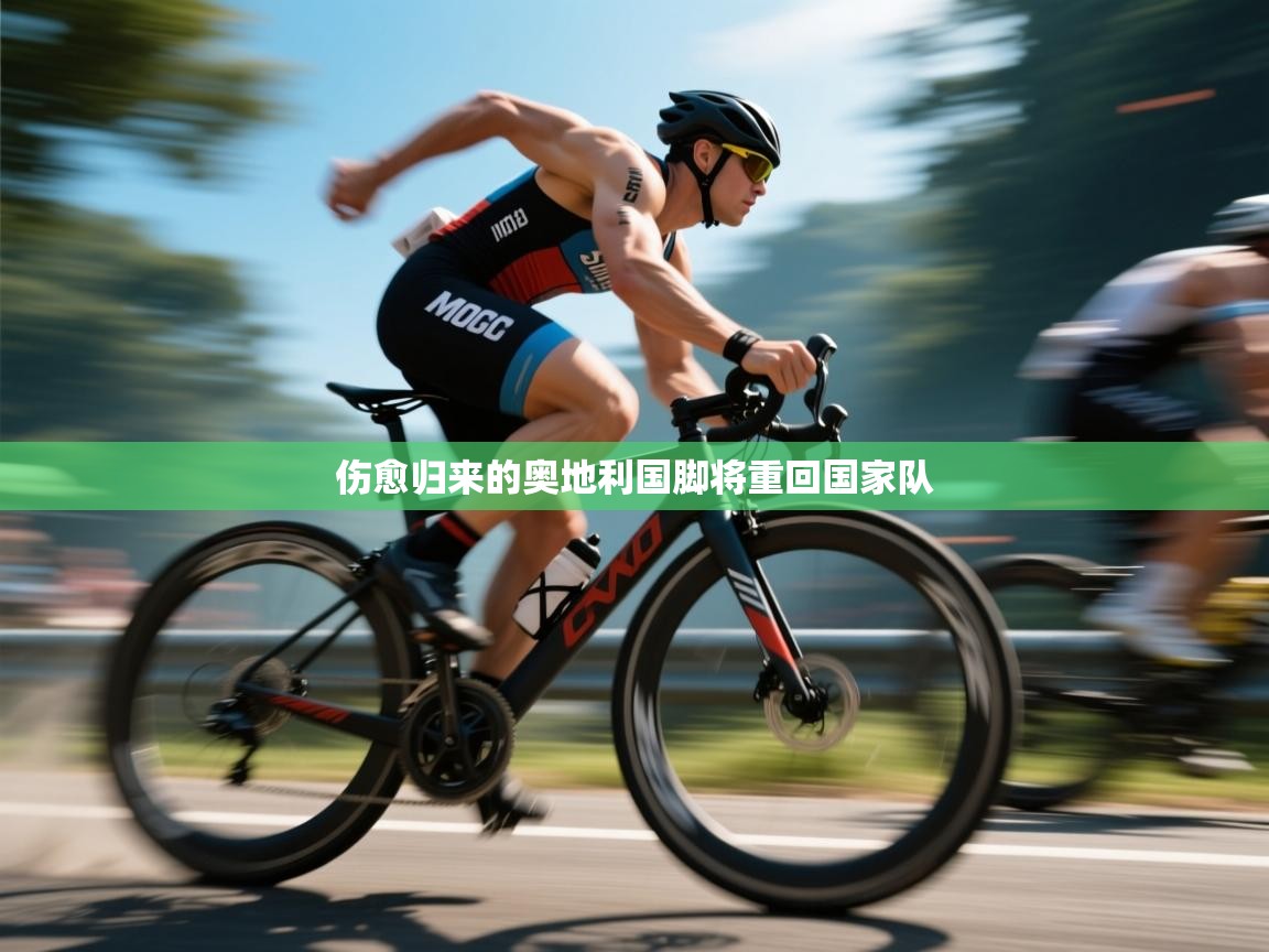 开云体育app下载安卓-伤愈归来的奥地利国脚将重回国家队 第1张