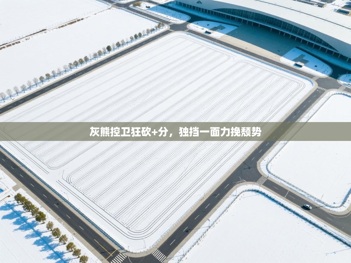 kaiyun-灰熊控卫狂砍+分，独挡一面力挽颓势  第2张