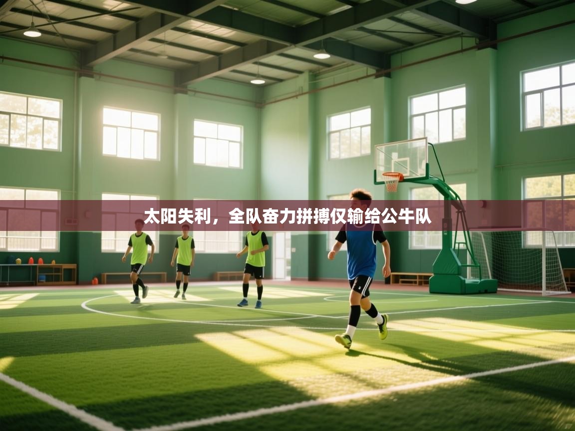 开云体育app在线-太阳失利，全队奋力拼搏仅输给公牛队  第1张